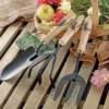 Carbon Steel Hand Fork, Cultivator and Trowel with Hardwood Handles