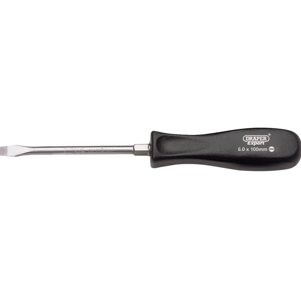 Draper Expert Plain Slot Mechanics Screwdriver, 6 x 100mm