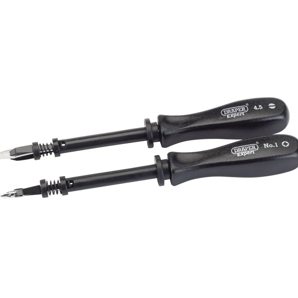 Draper Expert Screw Holding Mechanics Screwdriver Set (2 Piece)