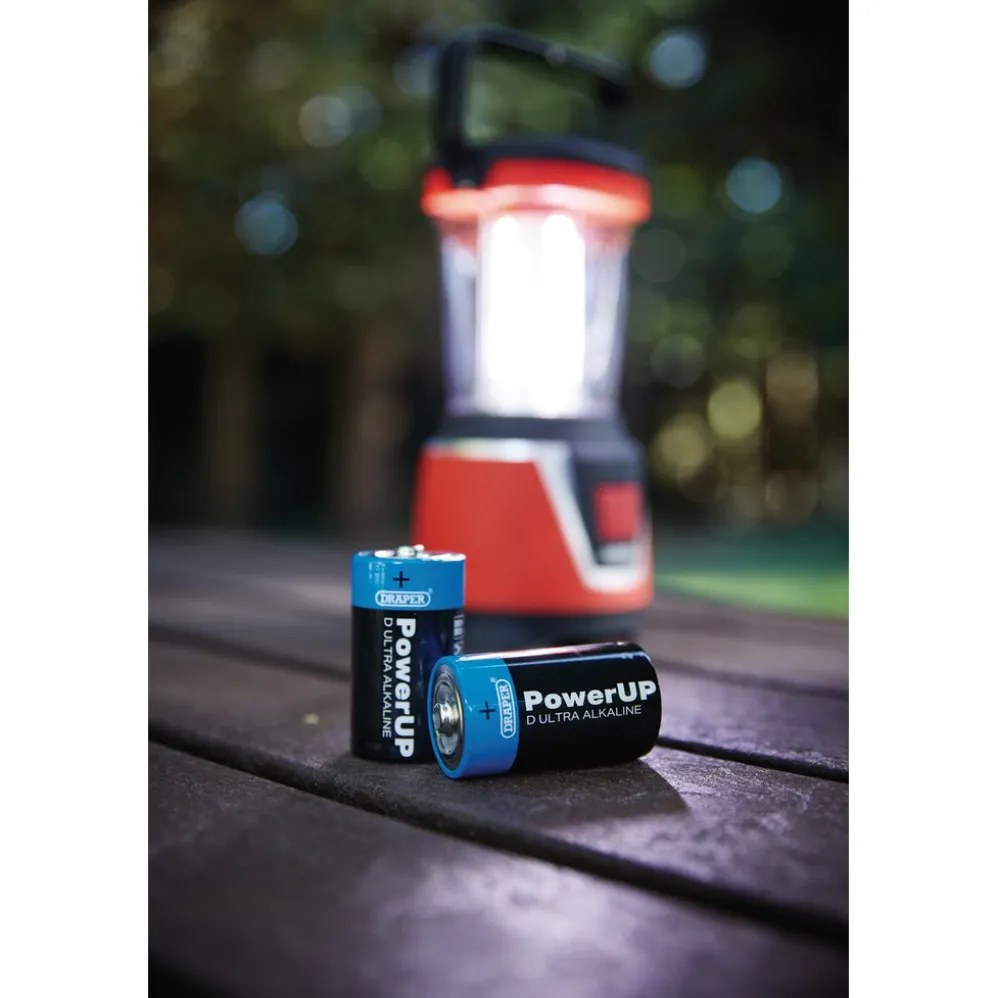 Draper PowerUP Ultra Alkaline D Batteries (Pack of 12)