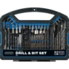 Drill Bit and Accessory Kit (101 Piece)