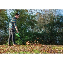 D20 20V Leaf Blower, 1 x 2.0Ah Battery, 1 x Charger