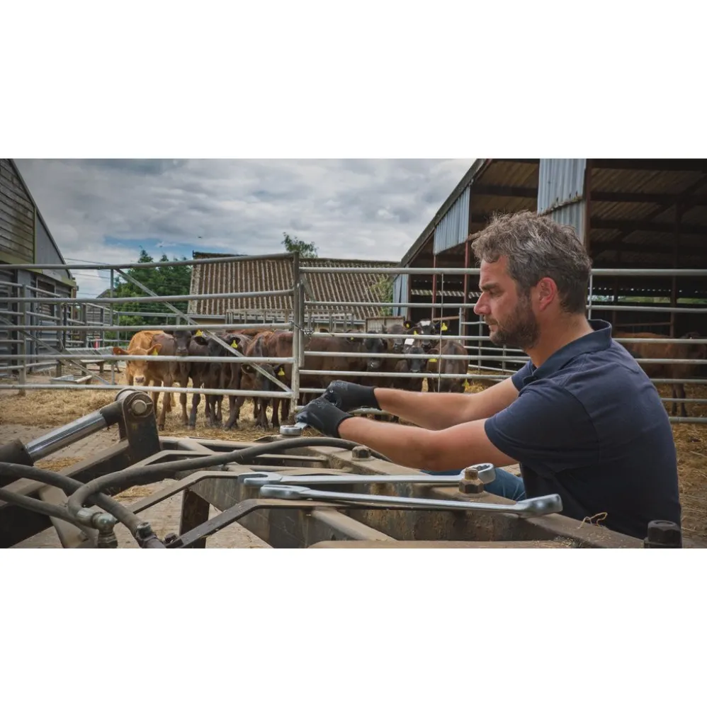 Elora Long Combination Spanner, 28mm
