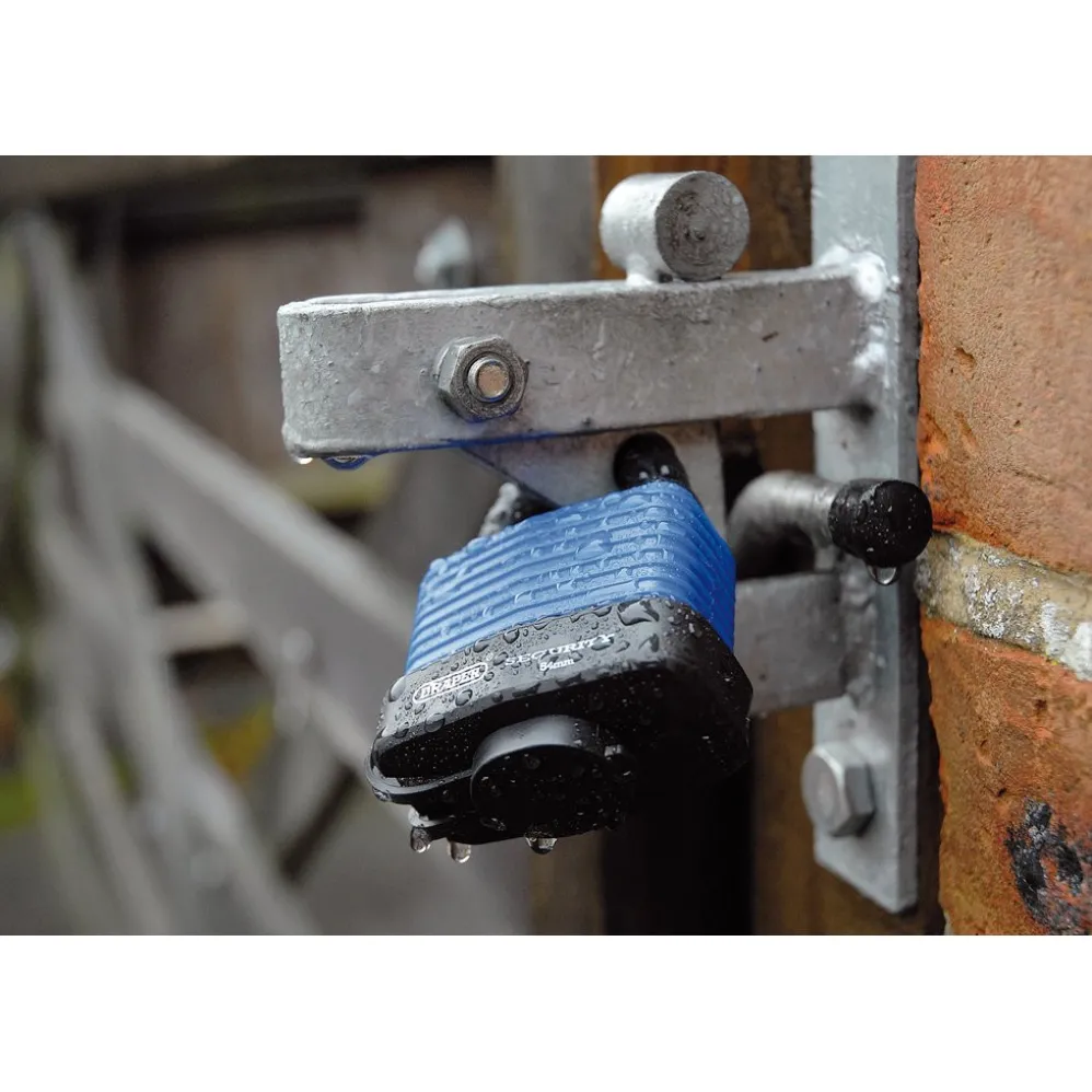 Laminated Steel Padlock and 2 Keys with Hardened Steel Shackle and Bumper, 54mm