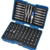 Screwdriver and Bit Holder Set (80 Piece)