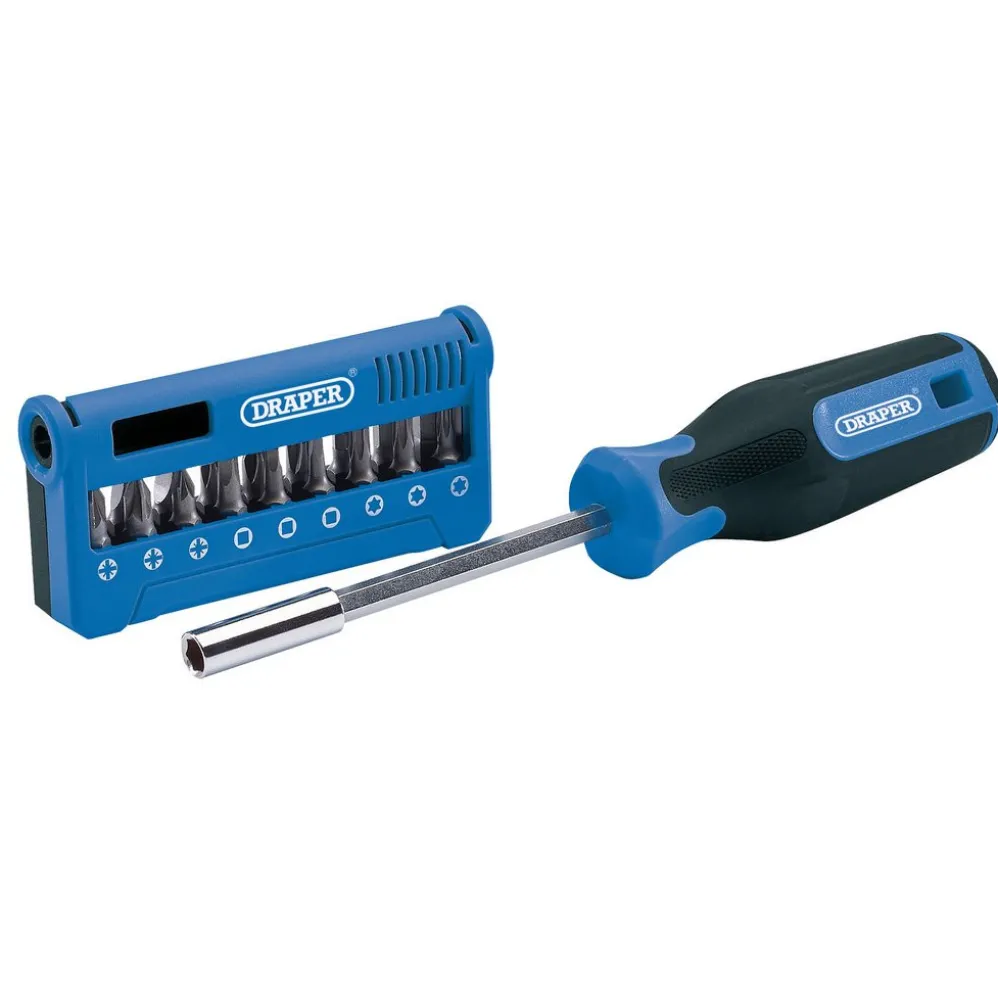 Screwdriver and Bit Set (19 Piece)